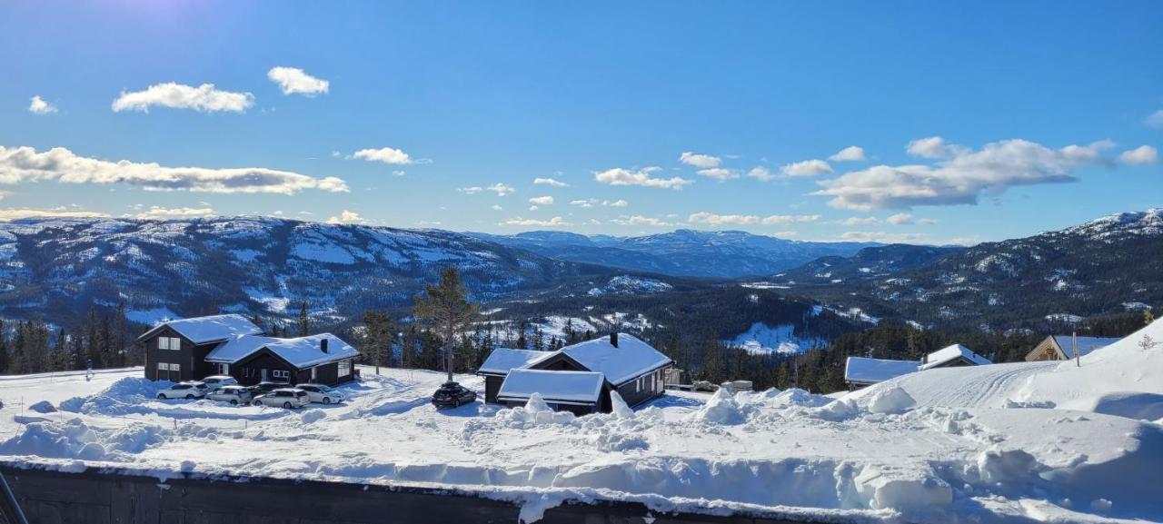 Wonderful Cabin With Amazing Mountain - View Villa Lifjell Eksteriør bilde