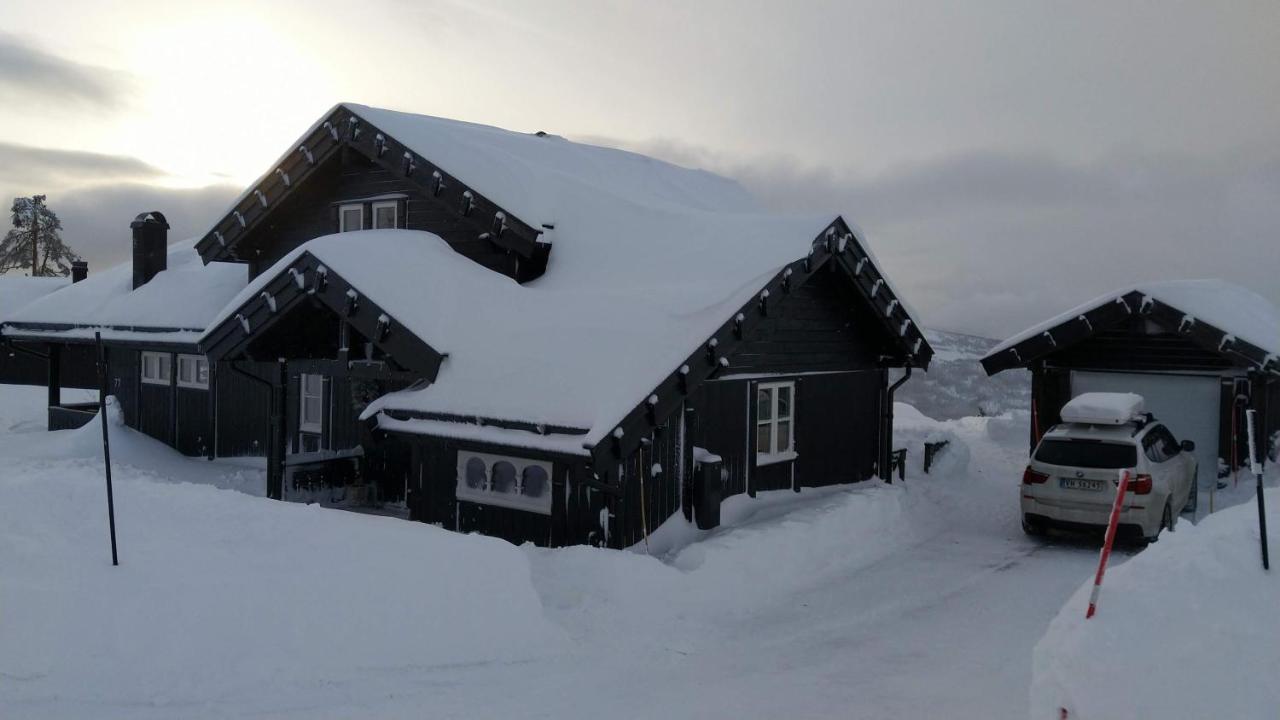 Wonderful Cabin With Amazing Mountain - View Villa Lifjell Eksteriør bilde