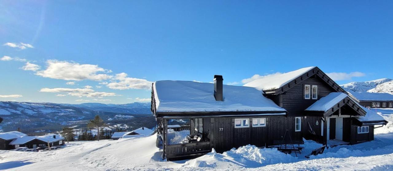 Wonderful Cabin With Amazing Mountain - View Villa Lifjell Eksteriør bilde